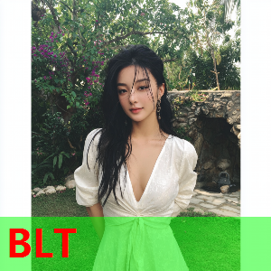 txvlog官网平台展示